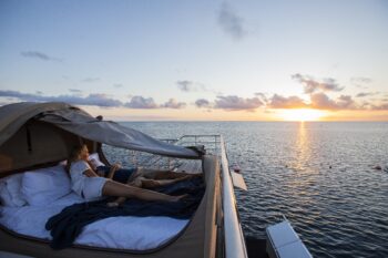 Gentle Giants of the Sea: Whale Watching in the Whitsundays