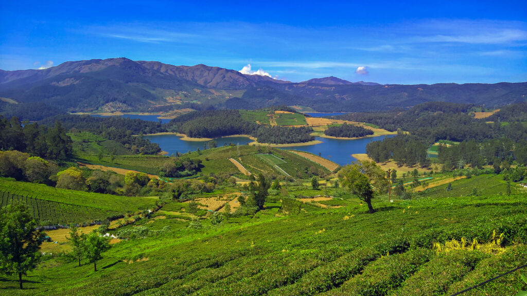 An aerial view of Emerald Lake, Ooty, Tamil Nadu, India