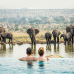 Dream by Luxury Escapes - Go Wild: 4 Luxury Trips for Amazing Wildlife Encounters