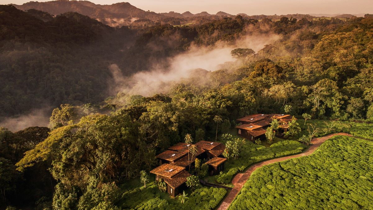 One&Only Nyungwe House, one of Africa's most luxurious safari lodges.