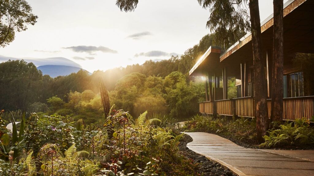 One&Only Gorilla Nest, one of the world's most luxurious resorts
