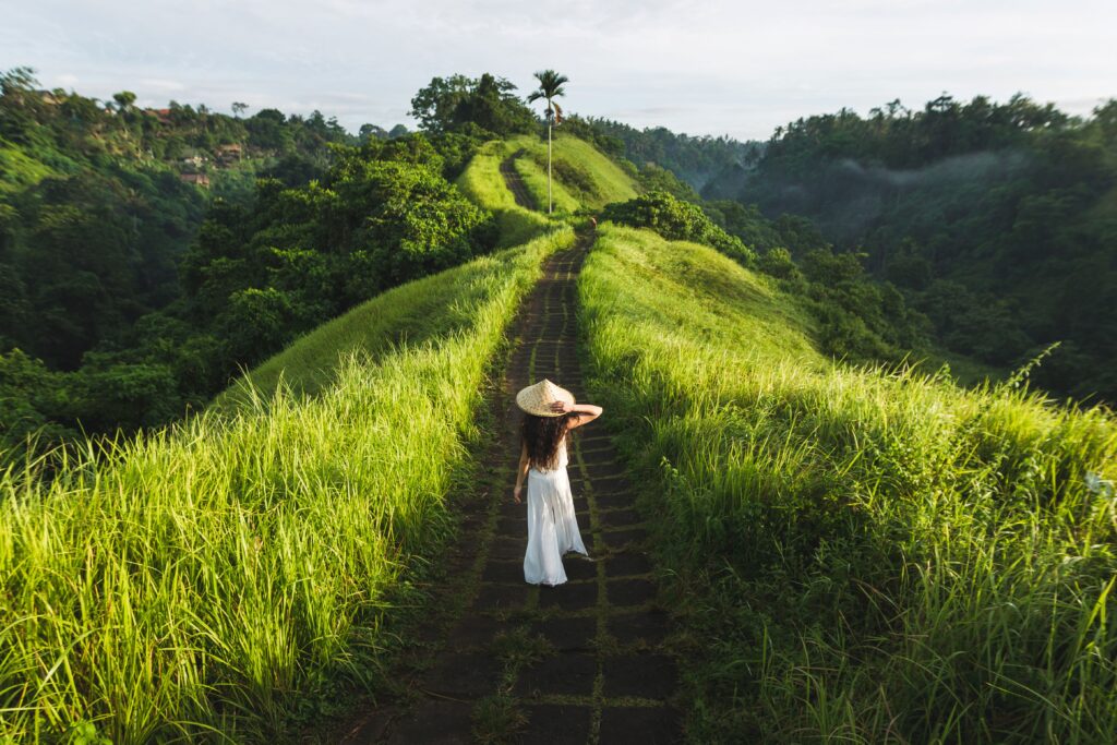 The rice fields of Ubud. Ubud has some of the best restaurants in Bali - Luxury Escapes.