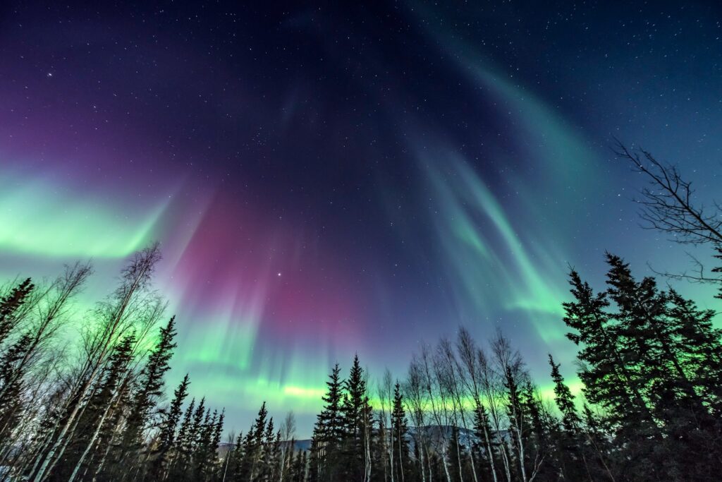 A gorgeous image of the Northern Lights in Alaska, a true wonder to behold - Luxury Escapes