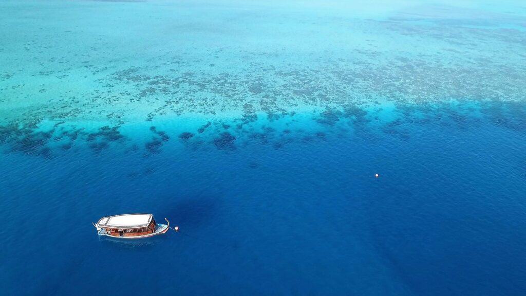 House reef at Hideaway Resort & Spa, Maldives.