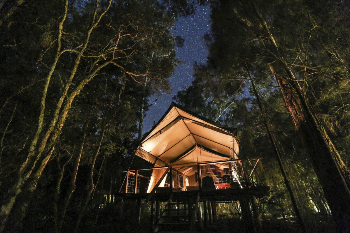 A glamping tent in bushland at Paperbark Camp, Shoalhaven, NSW