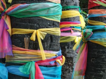 Trees tied with ribbons, a fun fact about Thailand. - Luxury Escapes