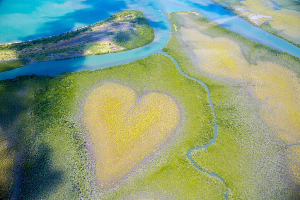 An aerial of the Heart of Voh, a natural mangrove formation in New Caledonia - Luxury Escapes