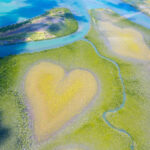 An aerial of the Heart of Voh, a natural mangrove formation in New Caledonia - Luxury Escapes