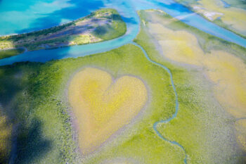 An aerial of the Heart of Voh, a natural mangrove formation in New Caledonia - Luxury Escapes
