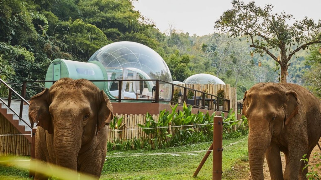 Anantara Golden Triangle Elephant Camp & Resort, home to one of the best kids clubs in Thailand.