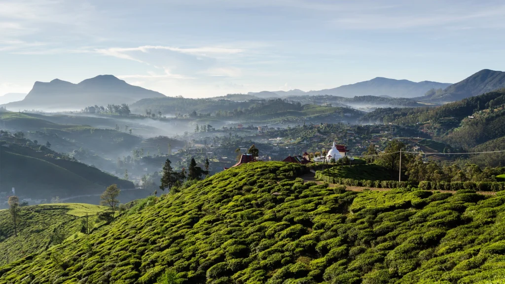 A view of Nuwara Eliya, Sri Lanka, one that you can cycle along during the Sri Lanka cycling tour - Luxury Escapes