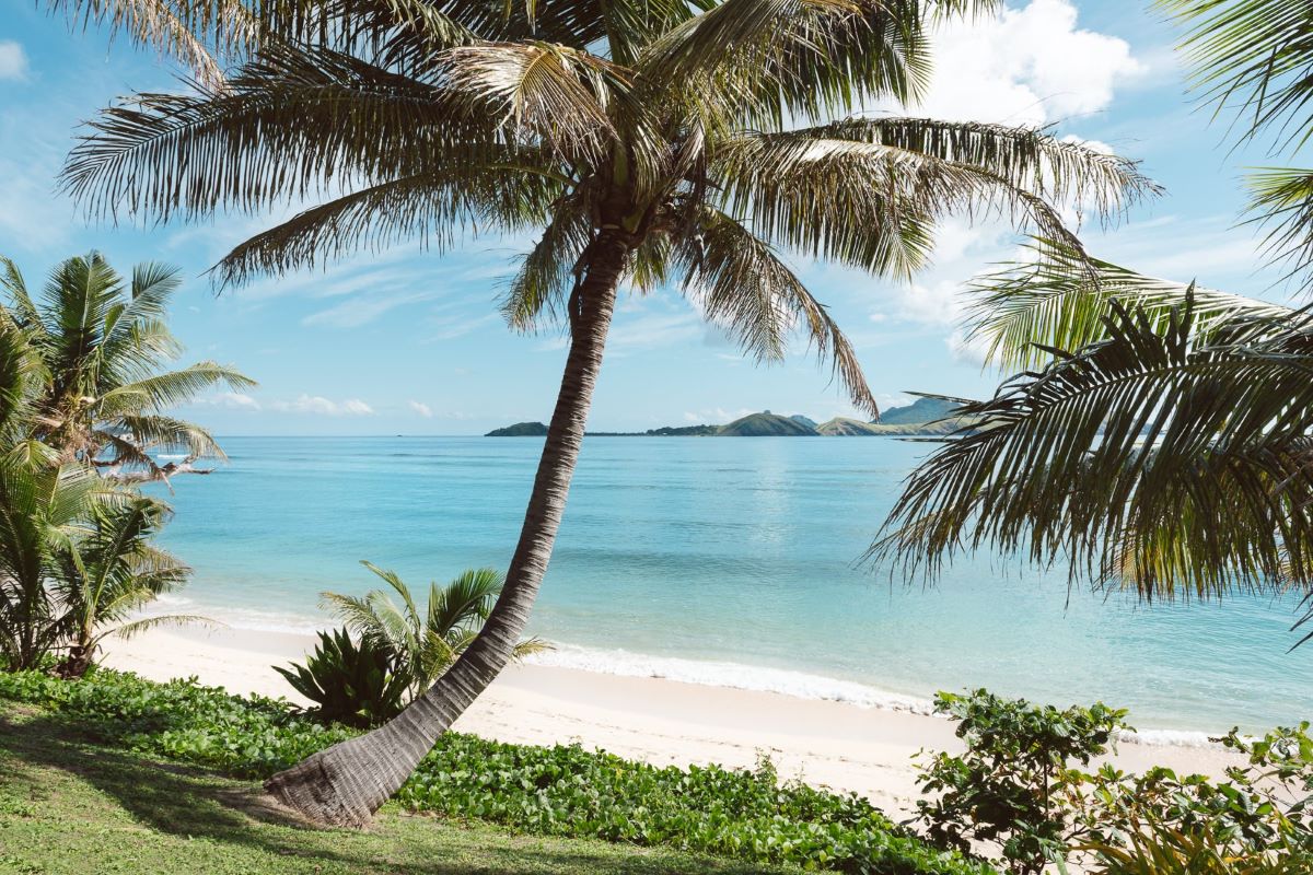 Palm trees over a pristine beachfront at Tokoriki Island Resort which is one of the best resorts in Fiji, the coral capital of the world - Luxury Escapes