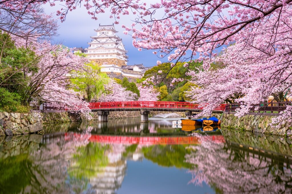 Cherry blossom trees during sakura season on the grounds of Hirosaki Castle, one of Japan's top cherry blossom destinations - Luxury Escapes