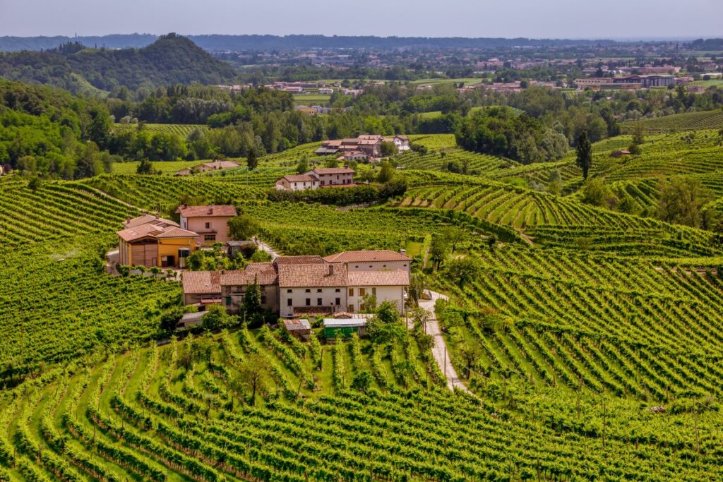 The Prosecco Hills of Veneto, one of the the best wine regions in Italy - Luxury Escapes