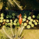 Aerial view of a woman lying on woman boat in a lily pond – Luxury Escapes, Anantara Bophut Koh Samui Resort.