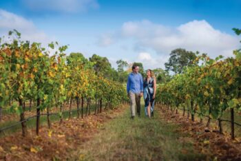 A couple walking through a vineyard near Oakes Cyprus Lakes Resort, which is one of the best places to spend a long weekend in Australia - Luxury Escapes