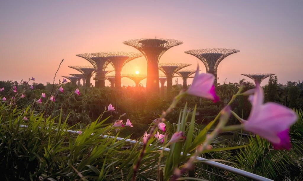 Image of Gardens by the Bay, one of the things to do in Singapore in 48 hours - Luxury Escapes