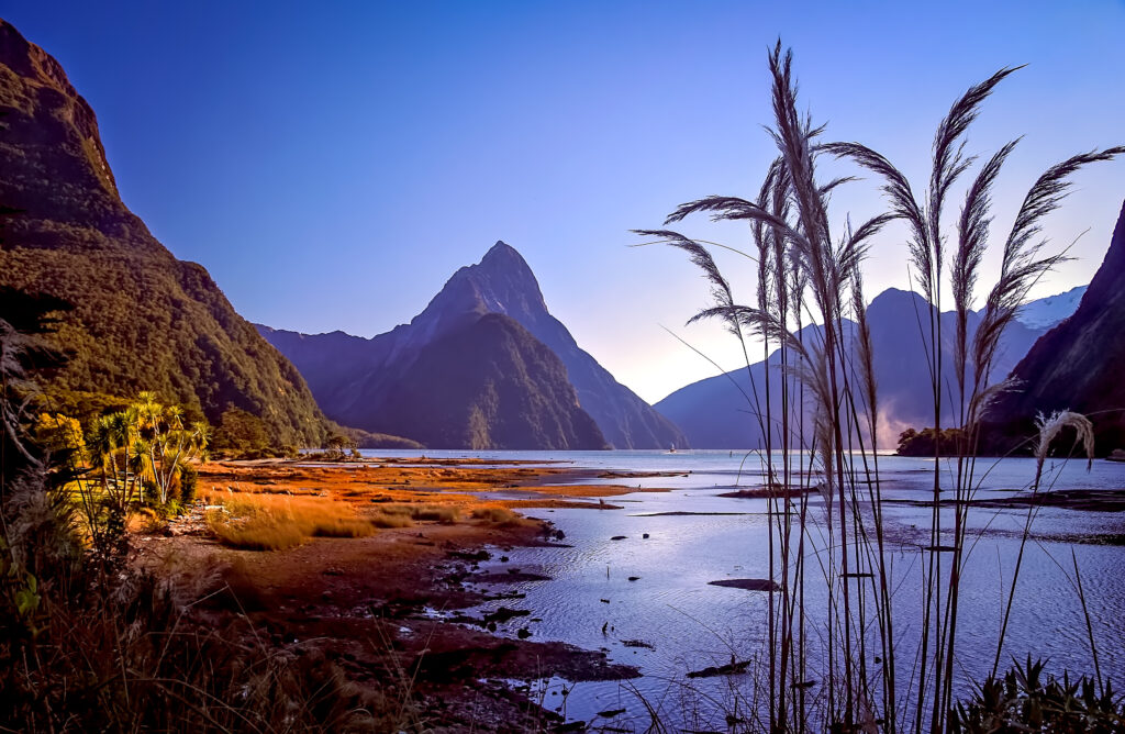 Milford Sound at sunset, a destination on Holland America Line's New Zealand cruise - Luxury Escapes 