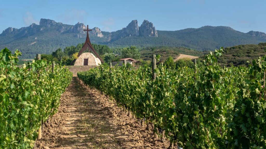 Vineyard in La Rioja, Spain, one of the world's best wine regions - Luxury Escapes 