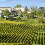 Vineyards of Saint Emilion, Bordeaux, France, one of the best wine regions in the world - Luxury Escapes