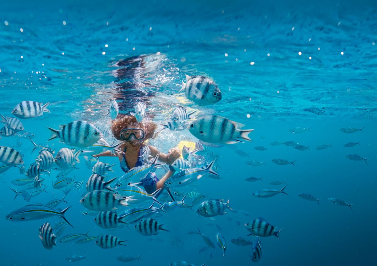 A child swims in the Fiji ocean with the fishes, one of the best activities to do while in Fiji - Luxury Escapes
