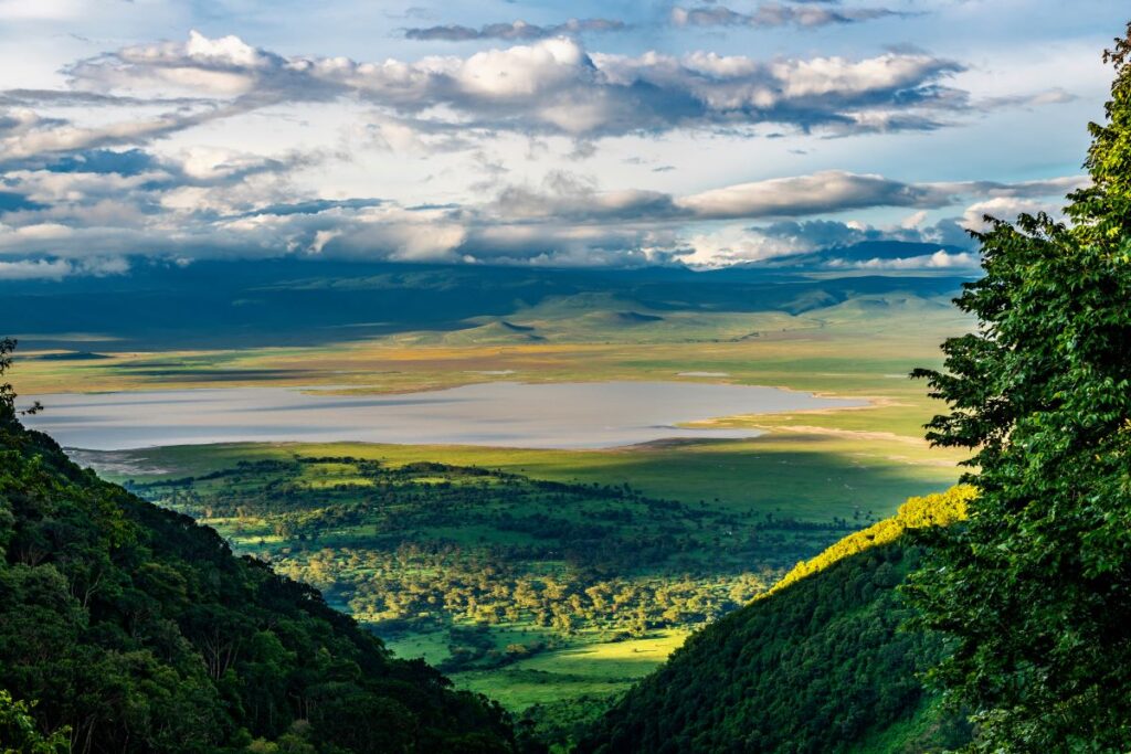 Spotting the Big Five safari animals at Ngorongoro Conservation Area is a bucket-list safari experience in one of Africa's best national parks or game reserves - Luxury Escapes