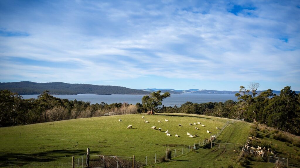 Find a romantic experience at Grandvewe Cheeses & Hartshorn Distillery, Birchs Bay in Tasmania