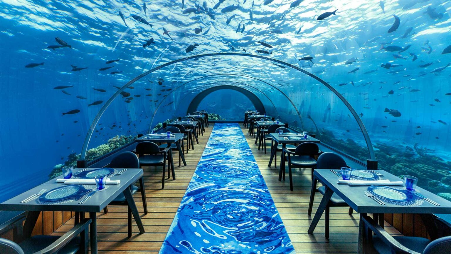 5.8 Undersea Restaurant in The Maldives, one of the best hotel restaurants - Luxury Escapes