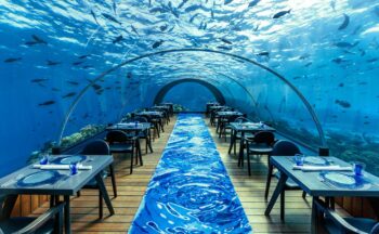 5.8 Undersea Restaurant in The Maldives, one of the best hotel restaurants - Luxury Escapes