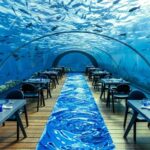 5.8 Undersea Restaurant in The Maldives, one of the best hotel restaurants - Luxury Escapes