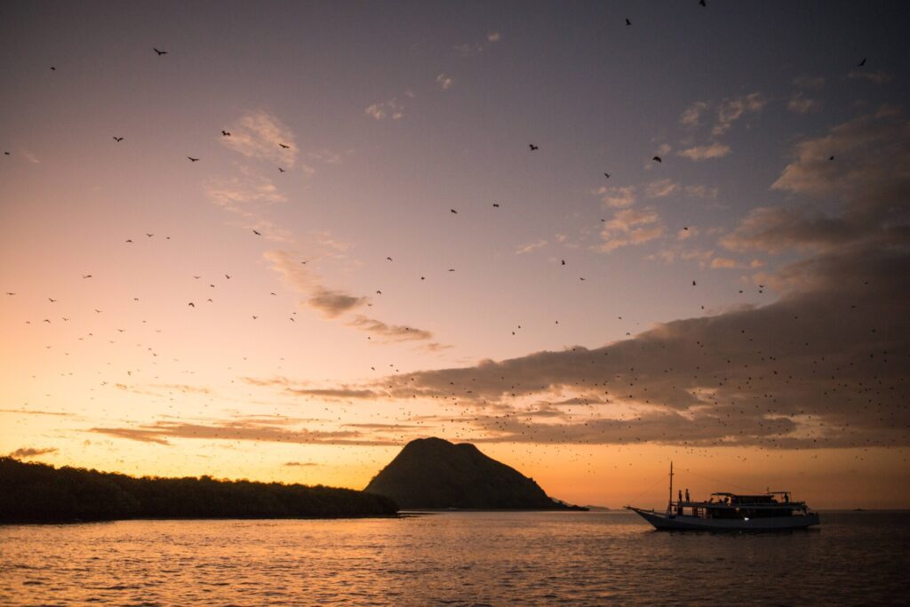 As sunset falls over Kalong Island, the bats are out on parade - Luxury Escapes