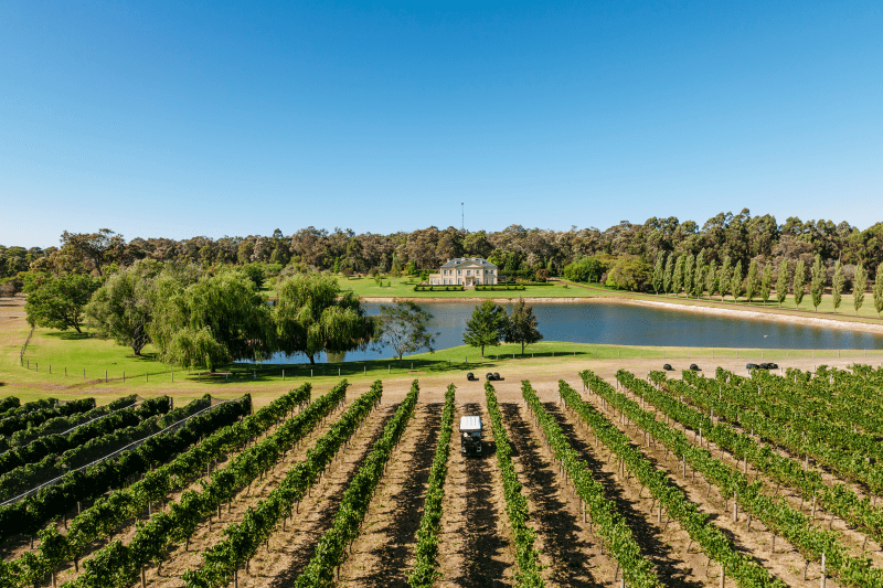 Fraser's Gallop is a wonderful winery to visit in the Margaret River Region - Luxury Escapes