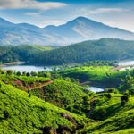 An ariel view of tea plantations & Muthirappuzhayar River in hills near Munnar, Kerala, India - Luxury Escapes