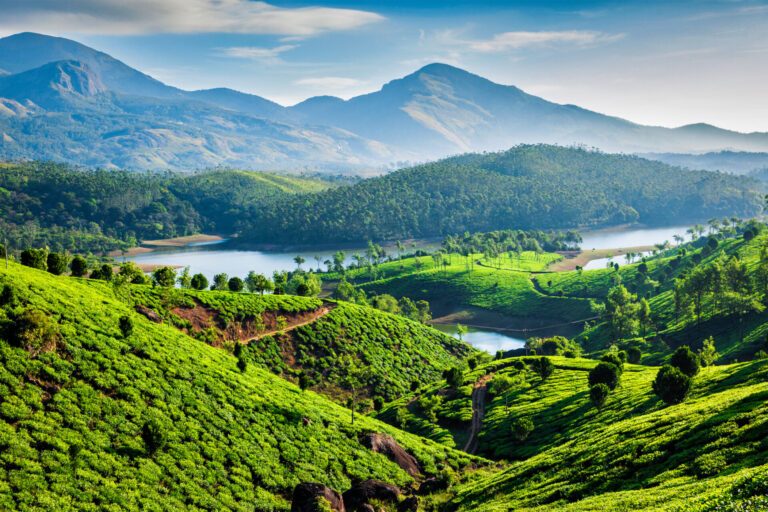 An ariel view of tea plantations & Muthirappuzhayar River in hills near Munnar, Kerala, India - Luxury Escapes