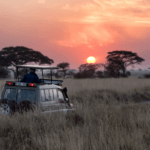 A safari vehicle on a sunset game drive in Africa - Luxury Escapes