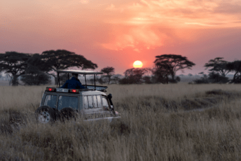 A safari vehicle on a sunset game drive in Africa - Luxury Escapes
