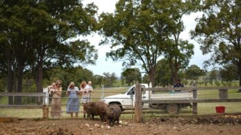 Family Friendly Hotels in Australia: From Waterparks to Wildlife Stays