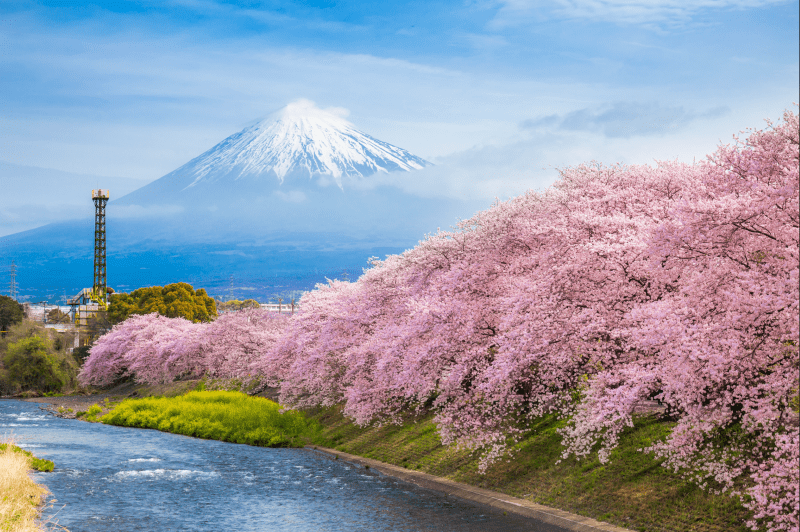 Japan Cruise Dream by Luxury Escapes