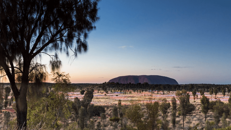 Field of Lights with Uluru in the background - Luxury Escapes