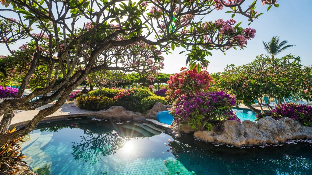 The pool at Grand Hyatt Bali, one of our best selling escapes - Luxury Escapes 