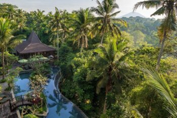 Bali’s Best Jungle Escapes