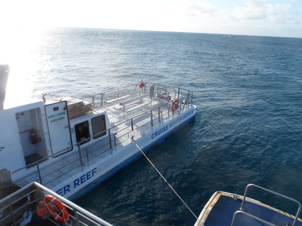 Dream by Luxury Escapes - Gentle Giants of the Sea: Whale Watching in the Whitsundays