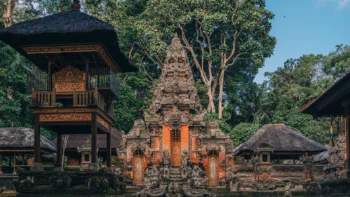 Fun in the Jungle: The Best Things to Do in Ubud