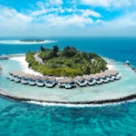 Dream by Luxury Escapes - Best of the Best: The Early Christmas Present Only LuxPlus+ Members Unlock