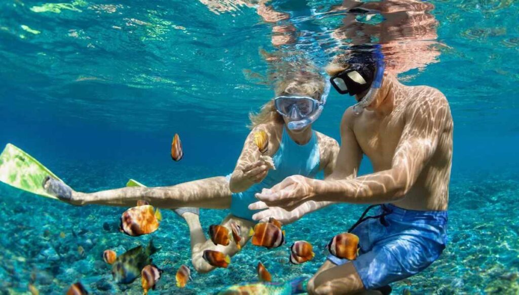 Snorkelling Experience in Nusa Penida available at the Luxury Escapes flagship Bali Store - Dream by Luxury Escapes