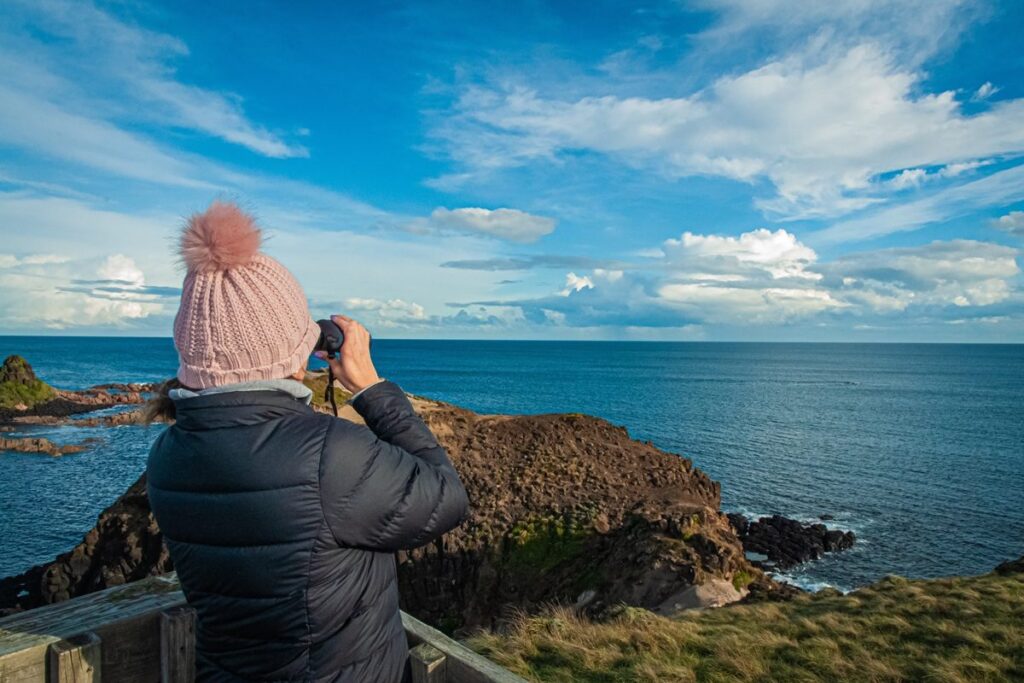 The Ultimate Guide to Whale Watching in Australia: Whale watching on Phillip Island Pyramid Rock - Luxury Escapes