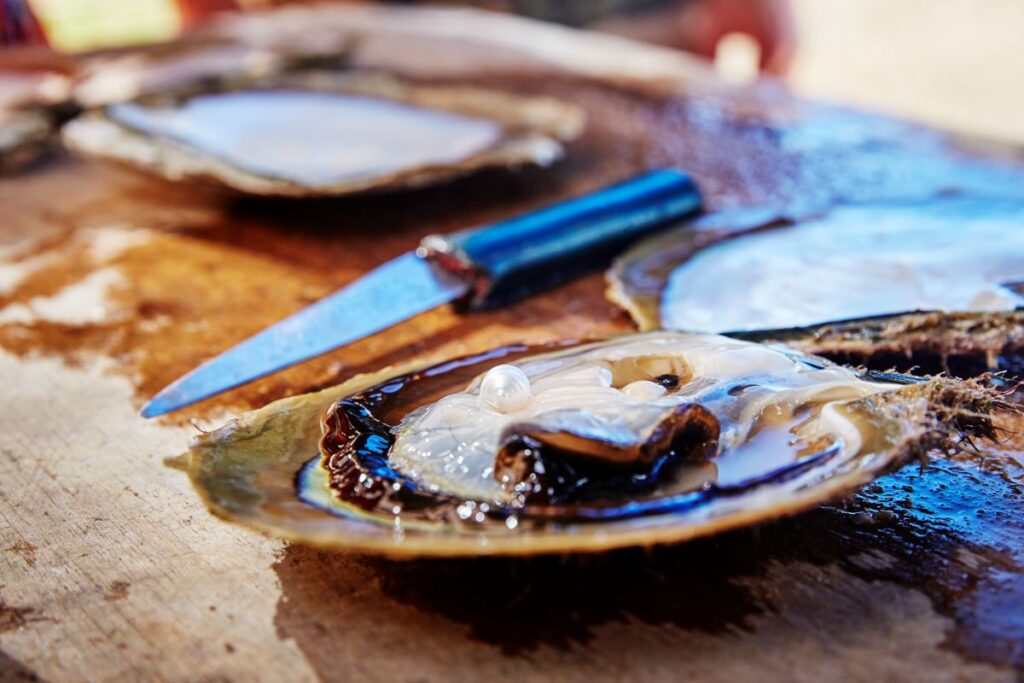 Broome pearl and shell, pearling is a part of Broome's history - LuxuryEscapes