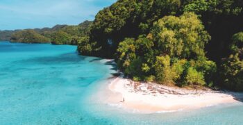 Why Palau Should Be on Your Travel List
