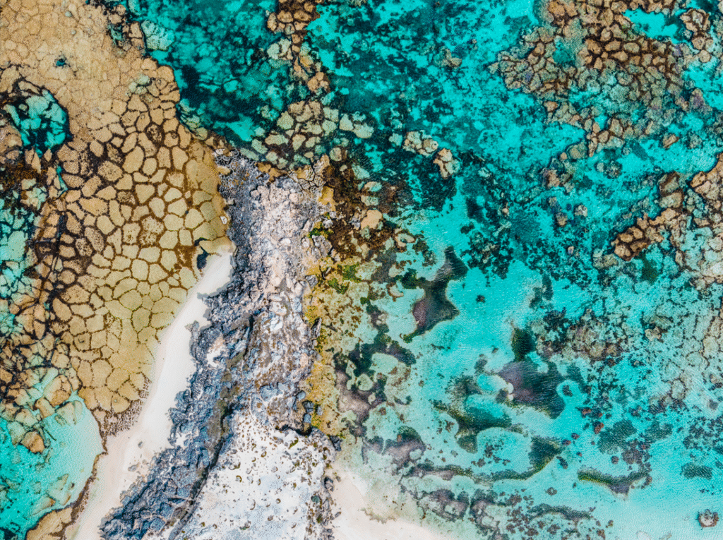 Salmon Bay, Rottnest Island WA - Luxury Escapes