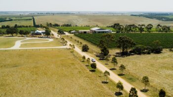 Is This Victoria’s Most Underrated Wine Region?